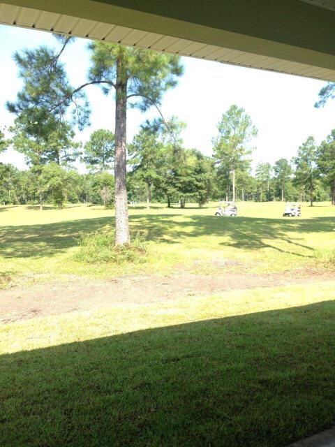 view from back porch