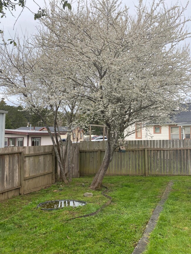3656 Old Arcata Rd #18