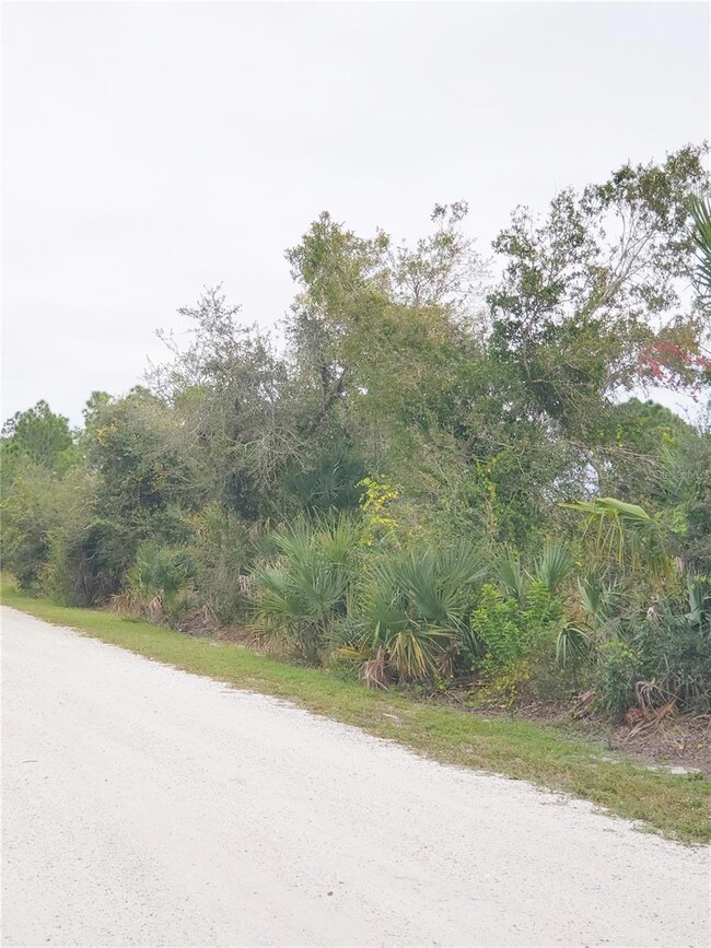 27053 Aloha Dr, Punta Gorda, FL 33955 - photo 4