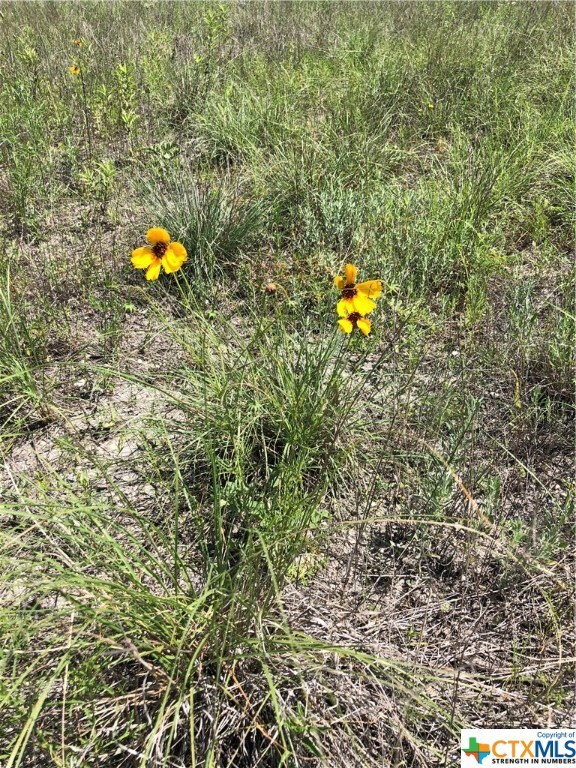 unlisted-address, Copperas Cove, TX 78611 - photo 5