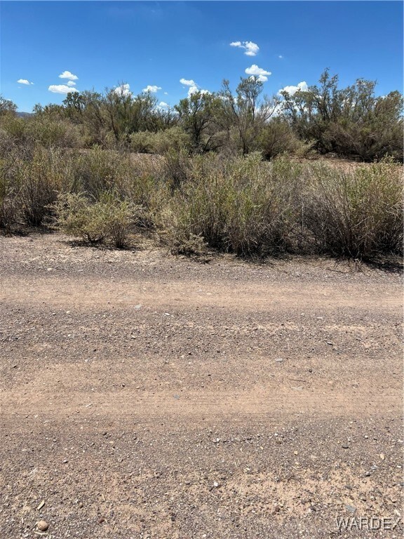 View of local wilderness