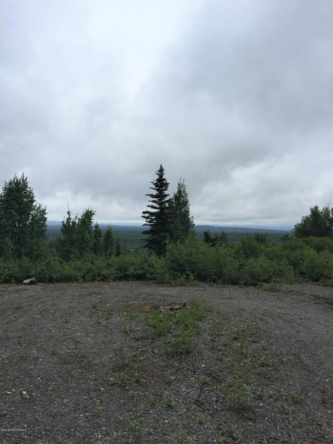 Denali Cabin 3