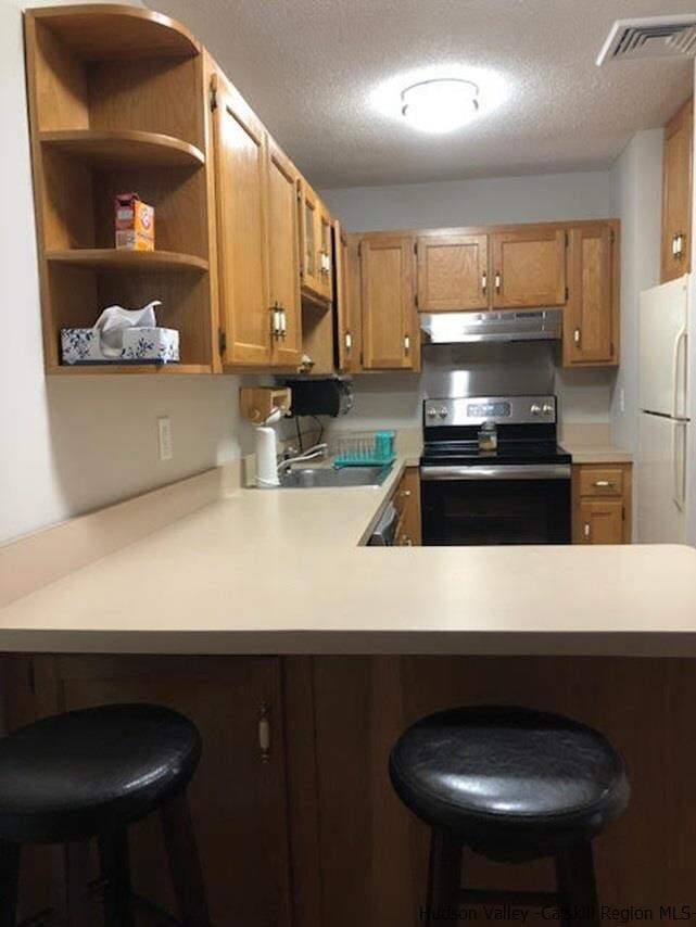 3 Tivoli Gardens unit 3a, Tivoli, NY 12583 - photo 2