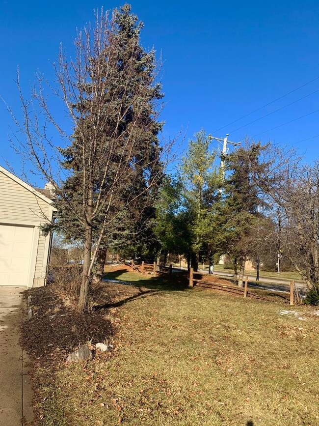 Side Yard
