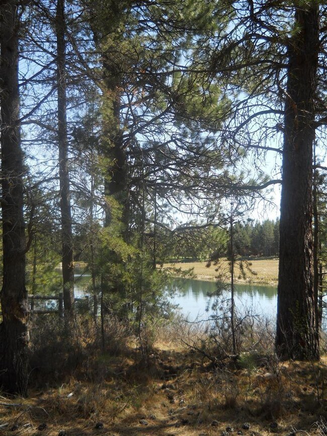 unlisted-address, Three Rivers, OR 97707 - photo 6