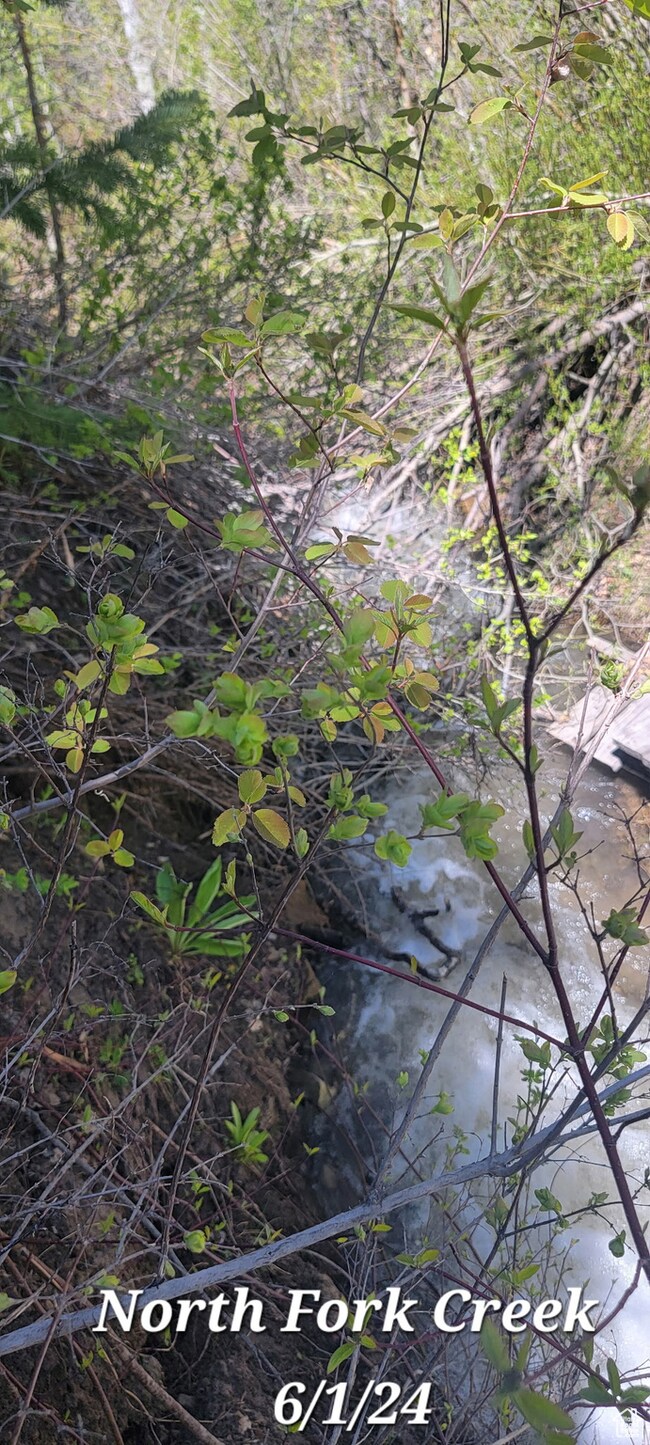 819 N Fork Rd unit 819, Mount Pleasant, UT 84629 - photo 6