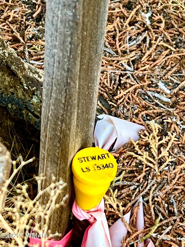 8789 Bruce Cir, Show Low, AZ 85901 - photo 5