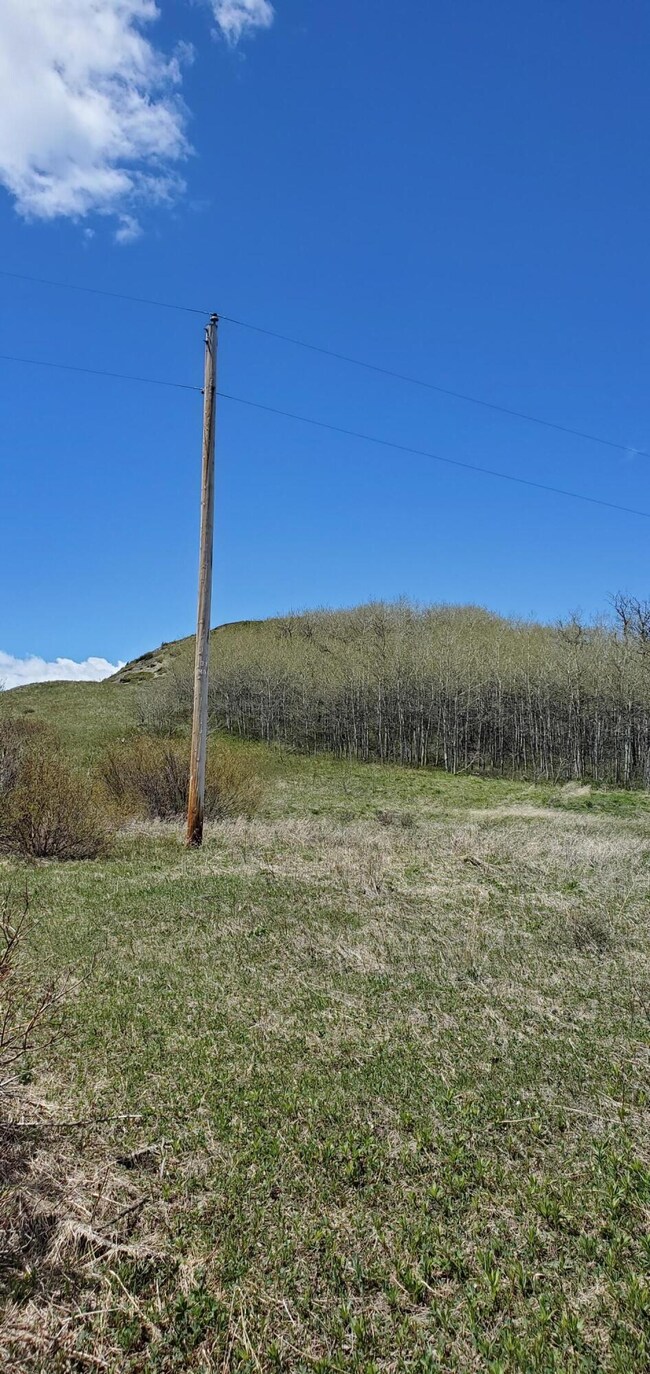 Nhn Anderson Rd, Browning, MT 59417 - photo 3