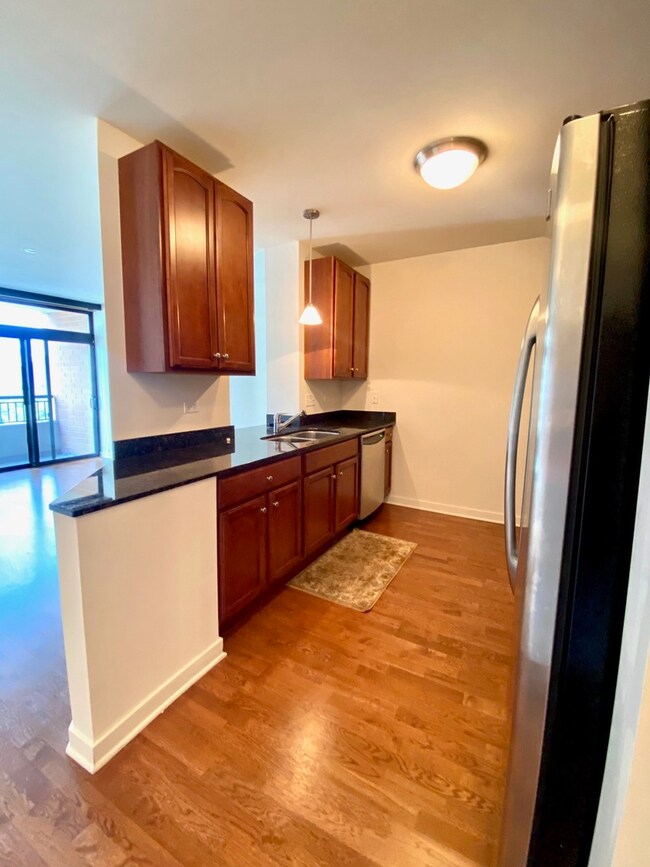 The Columbian unit 1606, Chicago, IL 60605 - photo 4