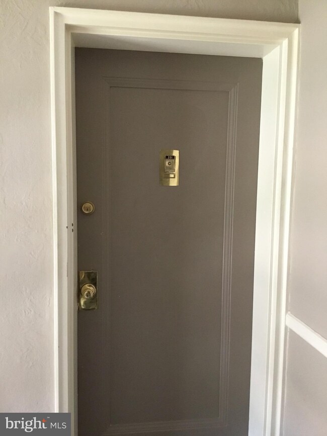 2910 Peyton Randolph Dr unit 170, Falls Church, VA 22044 - photo 4