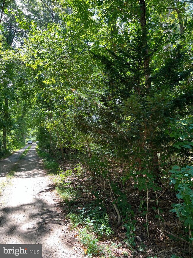 0 Boston Ave unit NJGL2022156, Williamstown, NJ 08094 - photo 3