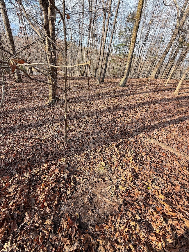 0 Hellsneck Ln unit 25649761, Waverly, TN 37185 - photo 6