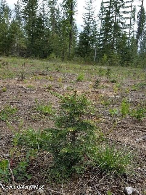 1131 Elmers Loop, Newport, WA 99156 - photo 5