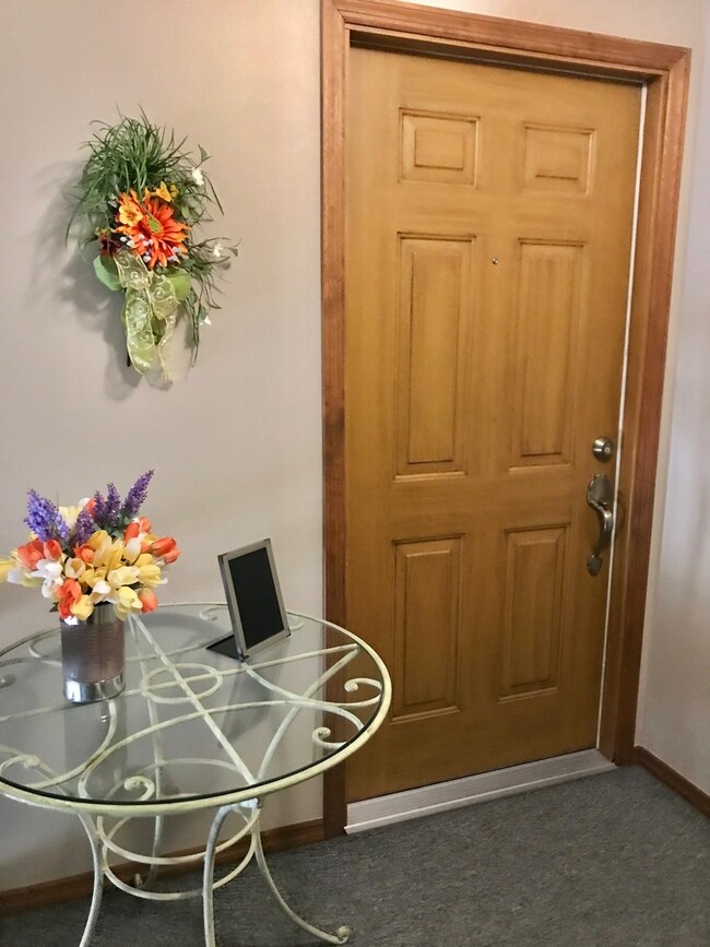 808 Carol Ct unit C-8, Pontiac, IL 61764 - photo 6