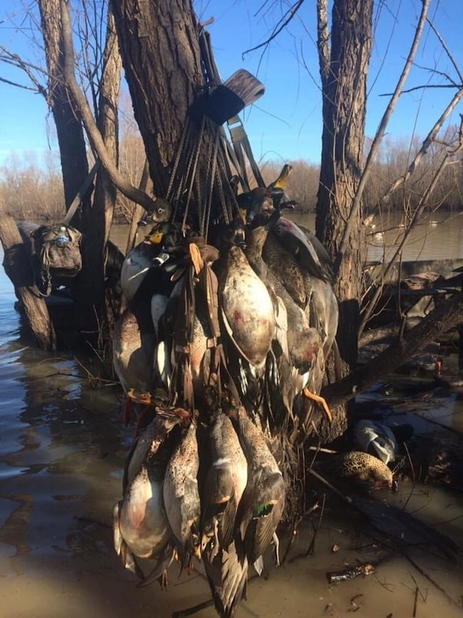 00 Eoff-Conder Rd, Des Arc, AR 72040 - photo 2