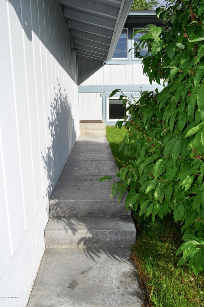 Newer Concrete Walkway