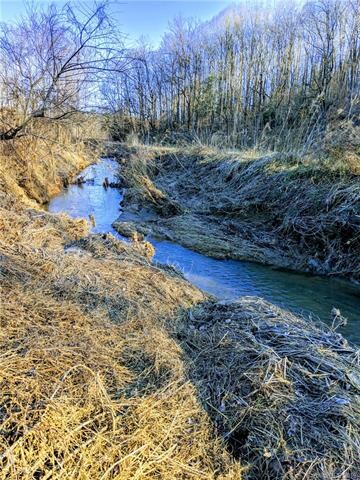 110 Morrison Creek Rd, Statesville, NC 28625 - photo 4