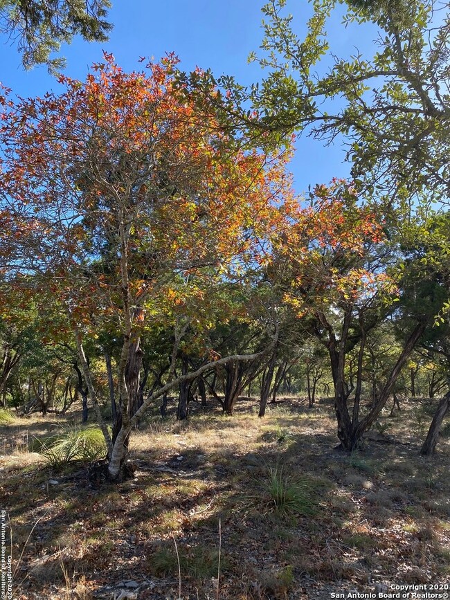 11314 Caliza Crescent, Boerne, TX 78006 - photo 3
