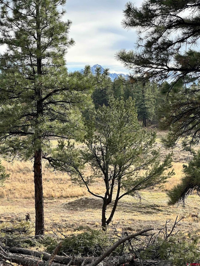 46 Marmot Ct, Ridgway, CO 81432 - photo 6