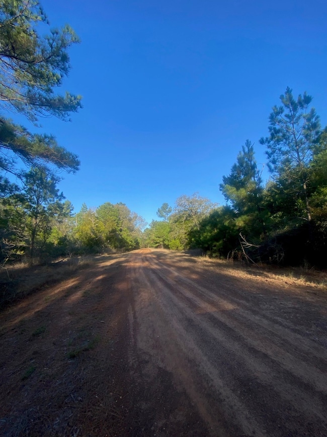 17922 Deerwood Dr, Hempstead, TX 77445 - photo 5