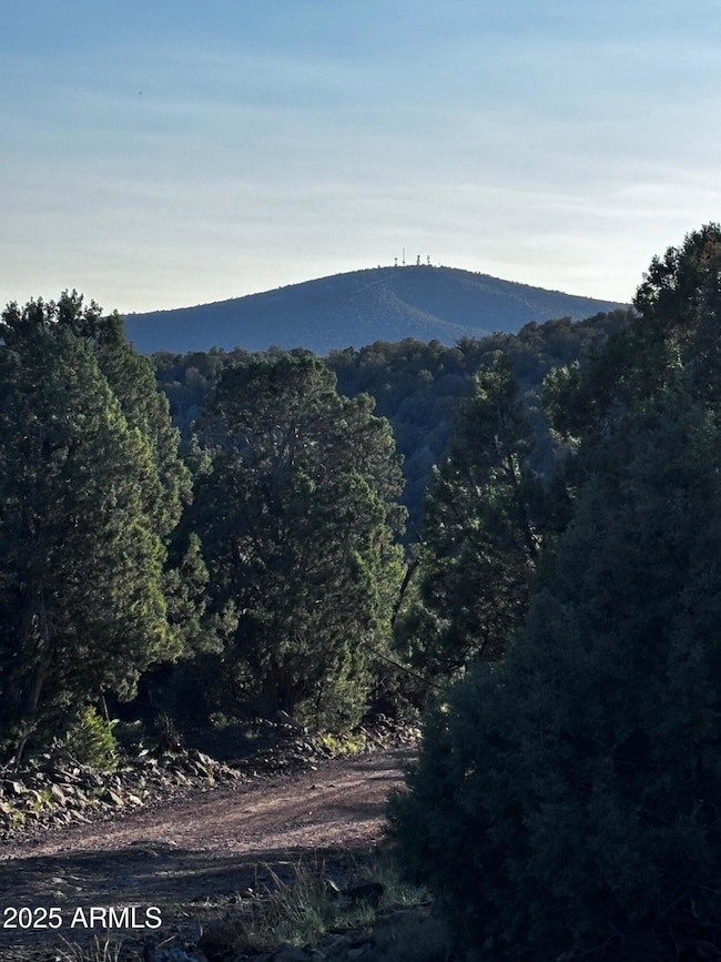 0 N Soaring Hawk Rd unit 498, Seligman, AZ 86337 - photo 7