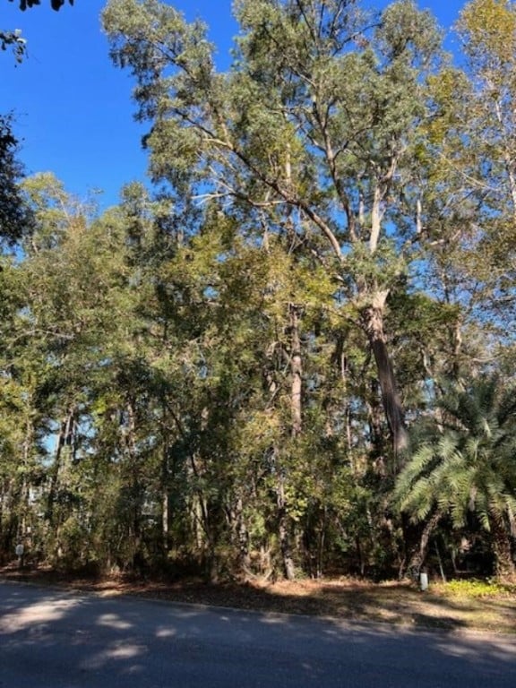 51 Bluffs Landing, Waverly, GA 31565 - photo 3