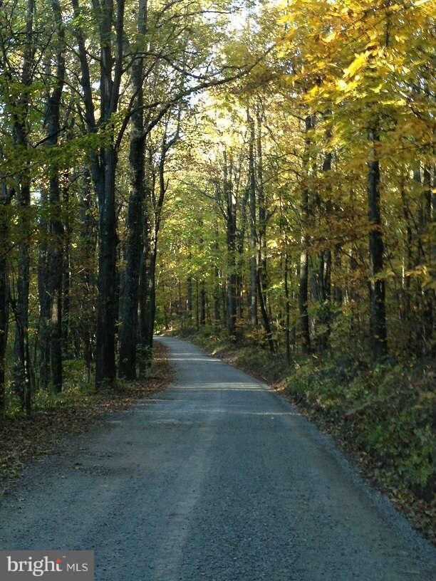 12055 Deer Path Ln, Linden, VA 22642 - photo 3