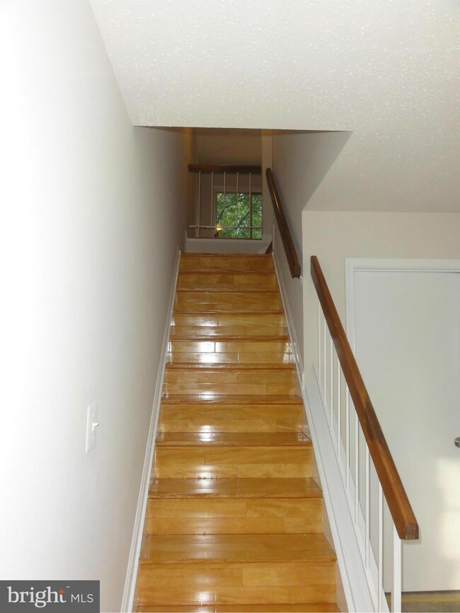13908 Big Yankee Ln, Centreville, VA 20121 - photo 3