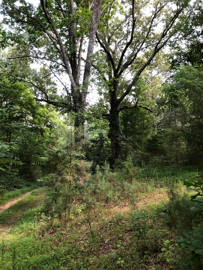 Private Lot