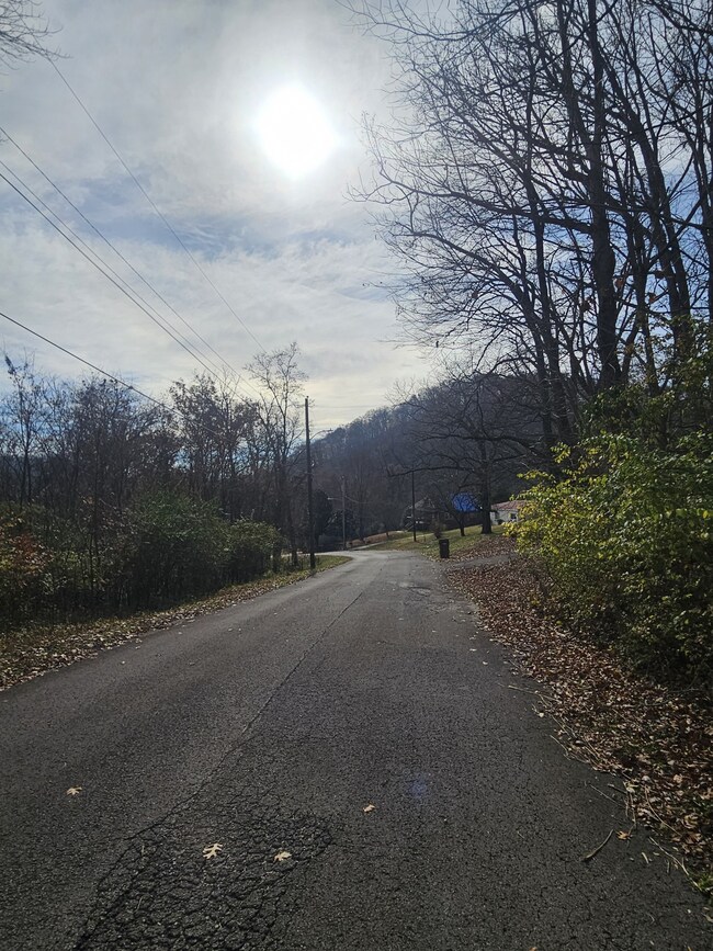 3714 Homeland Dr, Nashville, TN 37218 - photo 5