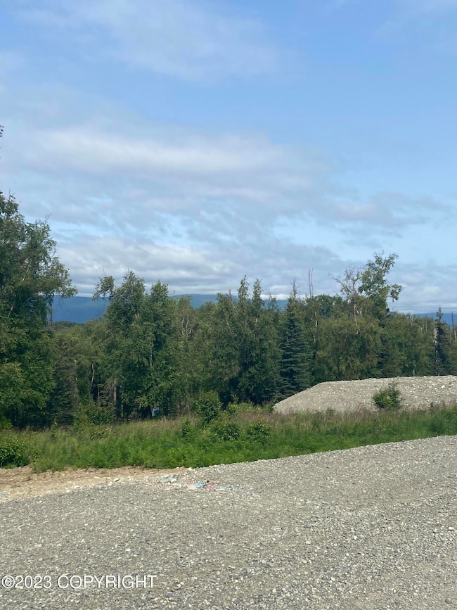 2541 W Longview Cir, Wasilla, AK 99654 - photo 2