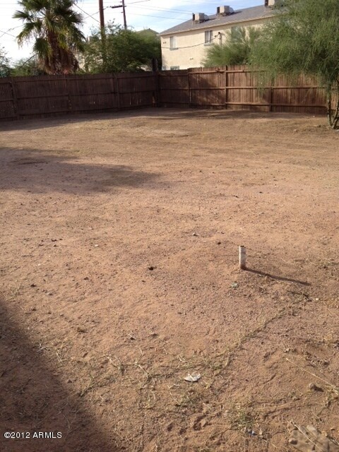 Backyard2