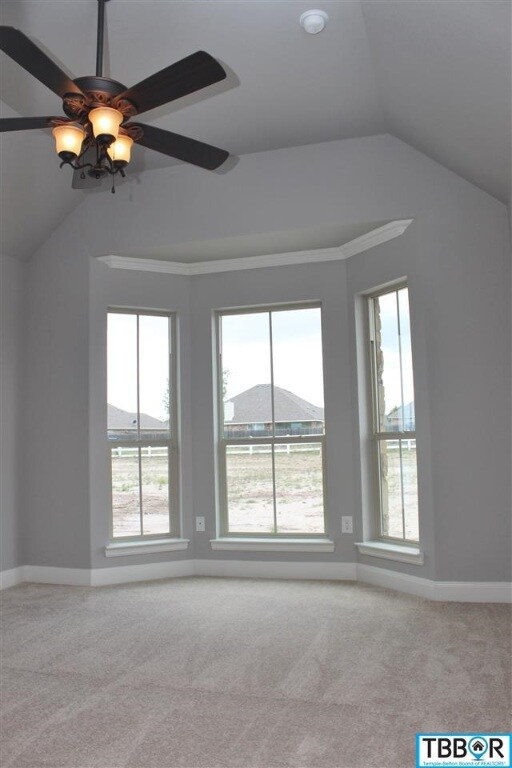 1611 S Pea Ridge Rd, Temple, TX 76502 - photo 6