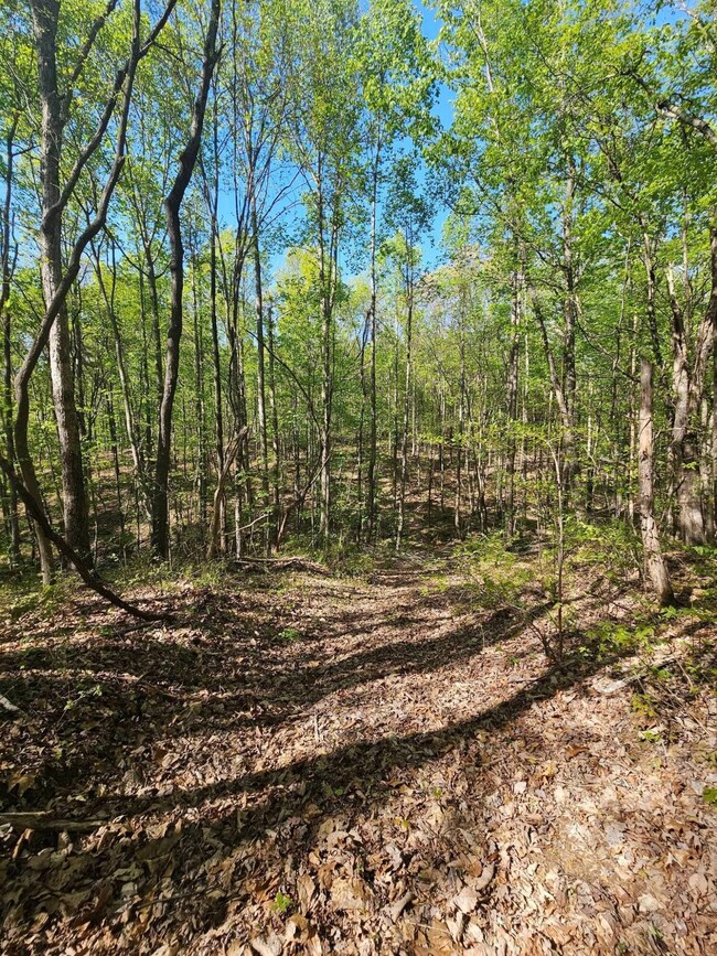 0 Waterwheel Way unit RTC2598432, Jasper, TN 37347 - photo 4