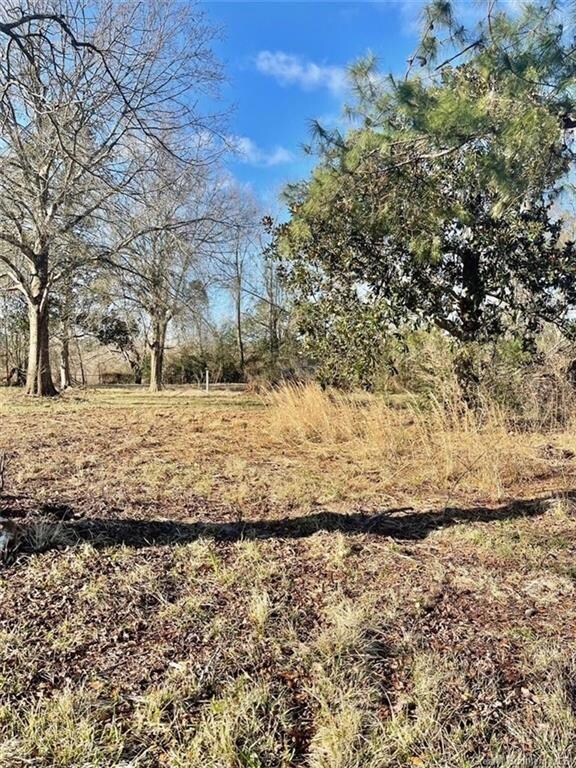 1915 Highway 109 S, Vinton, LA 70668 - photo 7