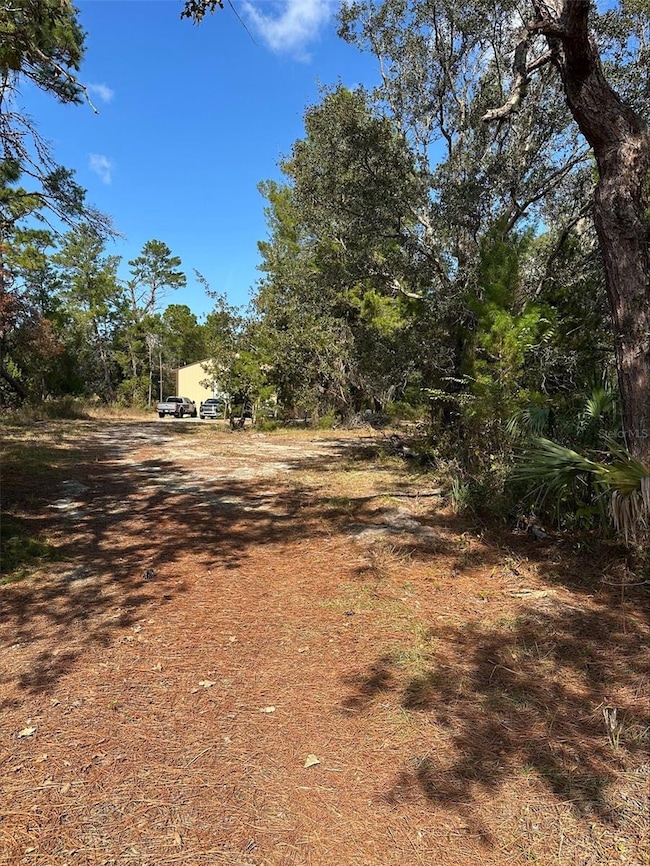 12301 Denton Ave, Hudson, FL 34667 - photo 3