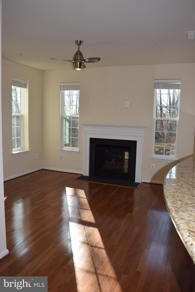 23200 Scholl Manor Way unit 1312, Clarksburg, MD 20871 - photo 6