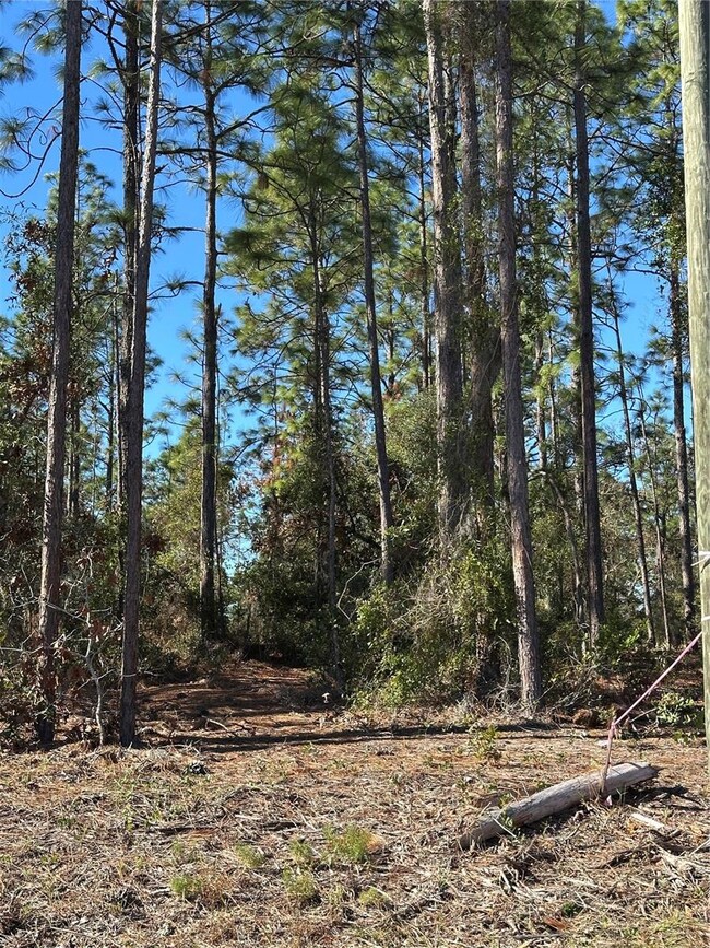 00 SW 209th Ave, Dunnellon, FL 34431 - photo 7