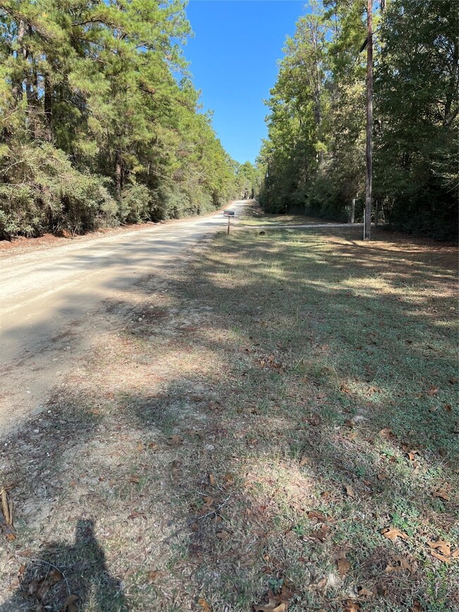 A0181 Northwest Passage, Plantersville, TX 77363 - photo 5