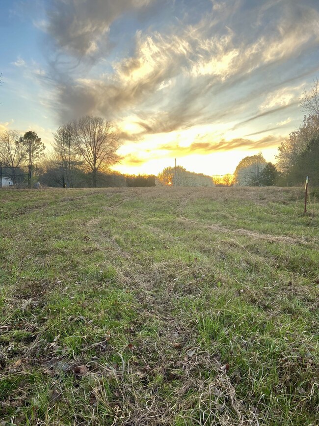 2525 Verona Caney Rd, Lewisburg, TN 37091 - photo 3