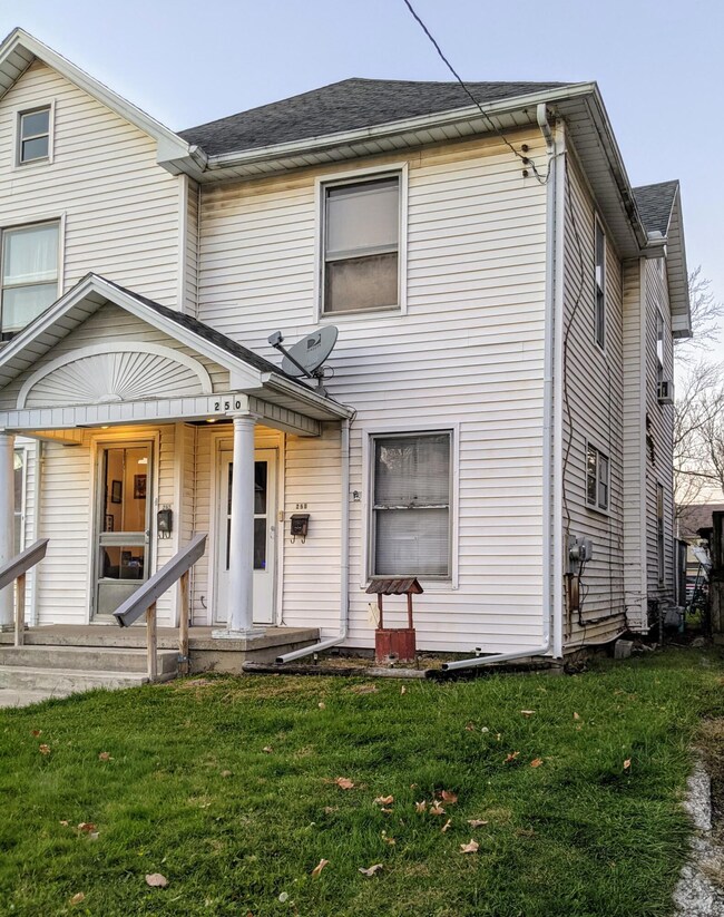 250 Chestnut St, Marion, OH 43302 - photo 2