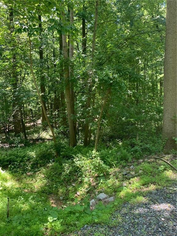 0 Elizabeth Ave unit 639246, Temple, PA 19560 - photo 4