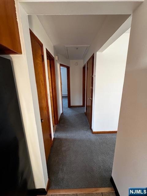 55 Alpine St unit 2, Garfield, NJ 07026 - photo 4