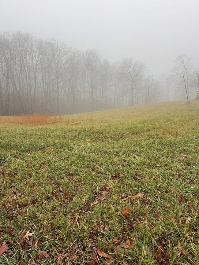 1479 Bee Rock Rd, Monterey, TN 38574 - photo 2