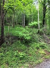 0 Sleepy Gap Rd unit 6 3461549, Arden, NC 28704 - photo 5