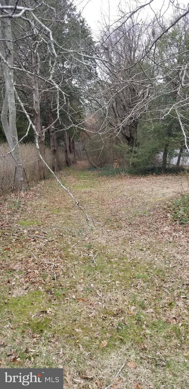 8.02 Center St, Little Egg Harbor, NJ 08087 - photo 5