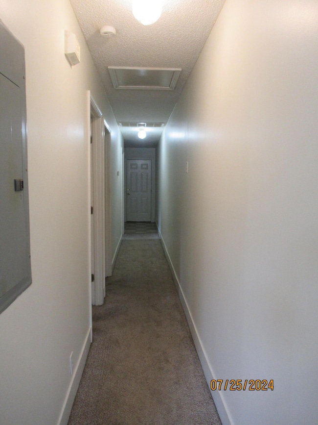 970 Jessamine Trail, Sumter, SC 29150 - photo 5