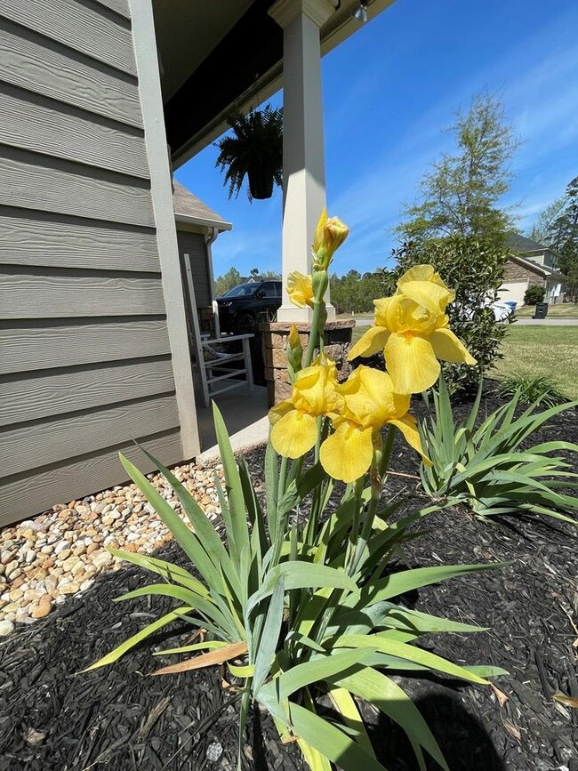 7107 Tavistock Ct, Columbus, GA 31904 - photo 4