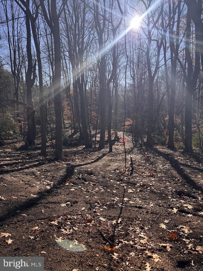 5260 Sheridan Point Rd, Prince Frederick, MD 20678 - photo 2