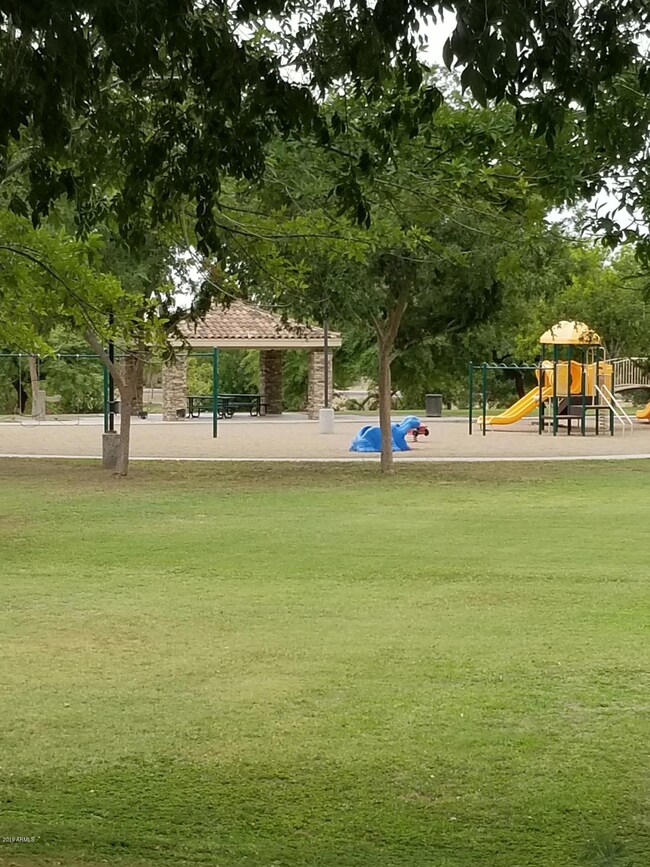 Community Park